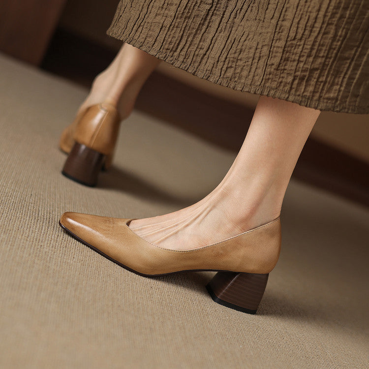 Victoria - Pointed Block Heel Shoes